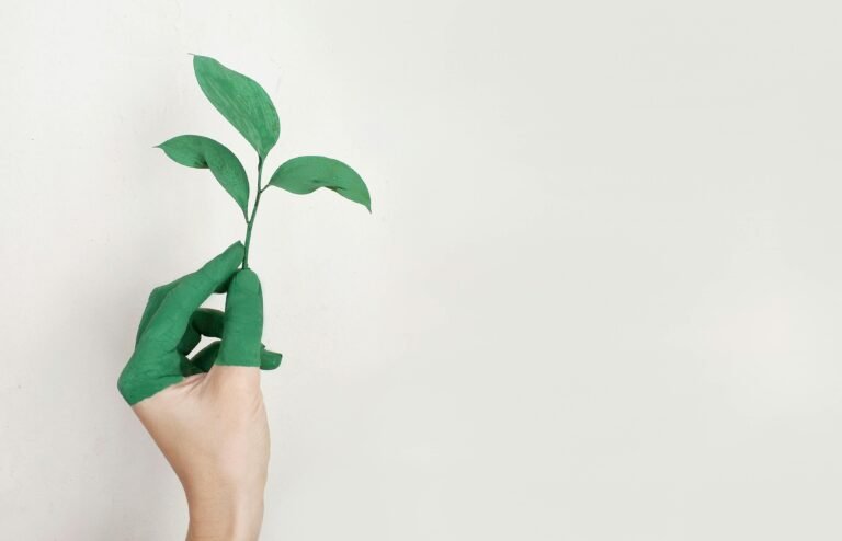 Como Descartar Adequadamente os Resíduos na Trilha Para Proteger o Meio Ambiente